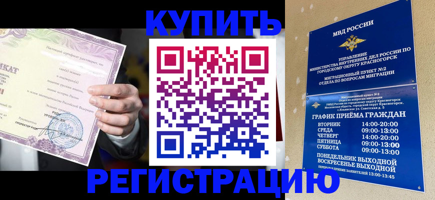 временная регистрация собственник в Завитинске